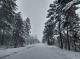 "Погода не стане на заваді захисту": на північному кордоні Чернігівщини зимно (Фото)