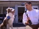 Собака залишив репортера без мікрофона (Курйозне відео)