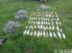 На Чернігівщині браконьєр наловив риби на 119 тисяч гривень