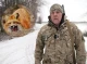 На Чернігівщині почали відстріл лисиць: подробиці