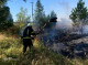 На Чернігівщині рятувальники за тиждень ліквідували 56 пожеж і знищили 26 вибухонебезпечних предметів