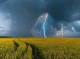 На Чернігівщині оголосили штормове попередження