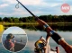 Ловись рибка: ніжинські рибалки розповідають про свої улови