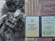 Бійця з Чернігівщини нагороджено відзнакою "Золотий Хрест" посмертно