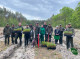 На Ніжинщині висадили «ліс памʼяті» на честь українських воїнів