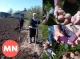 «Солоха», «Нецвітуха», «Лимонка»: господині розповідають, які сорти картоплі садять на Чернігівщині  - Фото