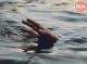 На Чернігівщині потонув 19-річний хлопець — що відомо